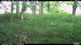 2095 Brettrager Drive - Photo 47
