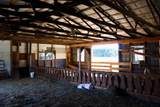 11276 Pine Grove Road - Photo 37