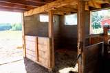 11276 Pine Grove Road - Photo 49