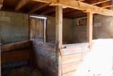 11276 Pine Grove Road - Photo 50
