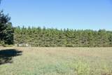 11276 Pine Grove Road - Photo 64