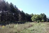 11276 Pine Grove Road - Photo 68