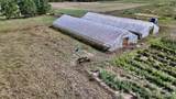 11276 Pine Grove Road - Photo 7