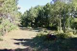 11276 Pine Grove Road - Photo 70