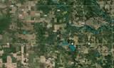 11276 Pine Grove Road - Photo 78