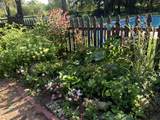 3995 Bertrand Road - Photo 35