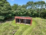 3995 Bertrand Road - Photo 39