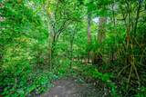 6549 Napier Road - Photo 61