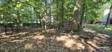 3995 Stryker Drive - Photo 11