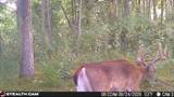 8972 College Avenue - Photo 104