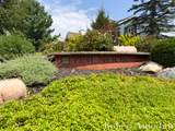 2025 Pine Nook Court - Photo 6