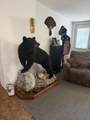8809 13 Mile Road - Photo 12