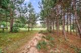 9957 150th Avenue - Photo 32
