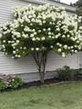 404 Court Street - Photo 26