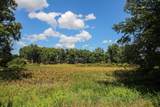 17700 Brad Lane - Photo 8