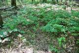2074 Olson Road - Photo 106