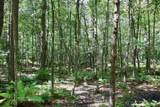 2074 Olson Road - Photo 11