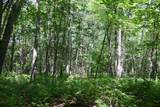 2074 Olson Road - Photo 9