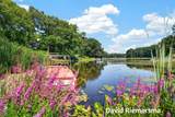 14254 Green Street - Photo 6