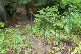 6232 106th Avenue - Photo 44