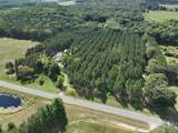 3685 Cypress Road - Photo 19