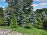 3685 Cypress Road - Photo 4