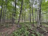 3305 Coville Road - Photo 24