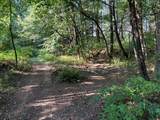 5773 M 66 - Photo 30