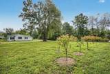 8195 Frie Avenue - Photo 87