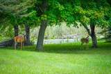 5260 Hockaday Road - Photo 67
