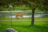 5260 Hockaday Road - Photo 71