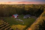 14910 Boyle Lake Road - Photo 2