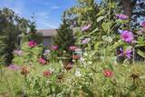 52210 Main Drive - Photo 92