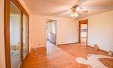 4391 Tamarack Road - Photo 12