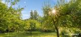 6395 143rd Avenue - Photo 44