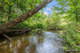 1213 Hayes Street - Photo 4
