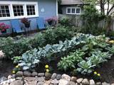 219 Carroll Avenue - Photo 40