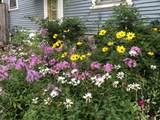 219 Carroll Avenue - Photo 47