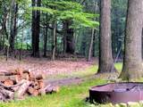 6779 Woods Trail - Photo 54