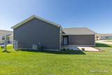 11786 Megan Way Drive - Photo 19