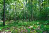 1180 Trail - Photo 4