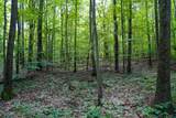 1180 Trail - Photo 5