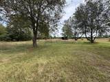 2906 33 Road - Photo 2
