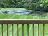 4786 Sunflower Ridge Drive - Photo 3