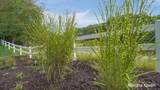 18443 Iroquois Drive - Photo 54