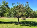 18840 Newcosta Avenue - Photo 14