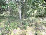 6823 Grand River Road - Photo 14