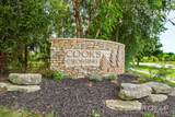 1119 Arbor Meadow Drive - Photo 69