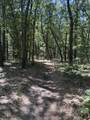 575 Wolf Lake Road - Photo 40