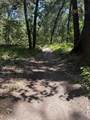 575 Wolf Lake Road - Photo 43